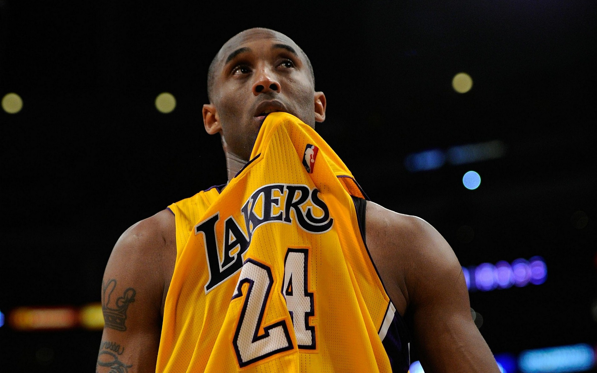 他的职业轨 他的职业轨