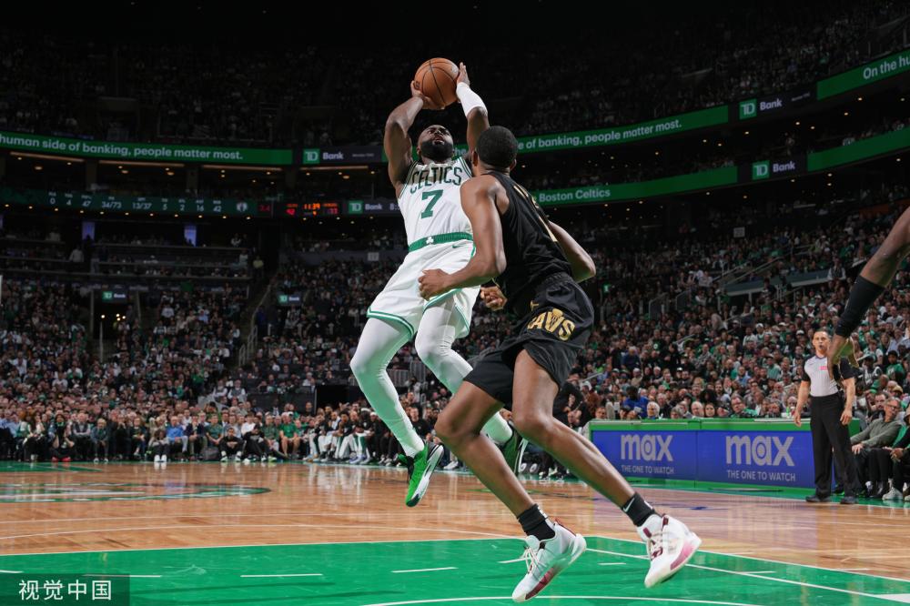 卫的黄金标 卫的黄金标